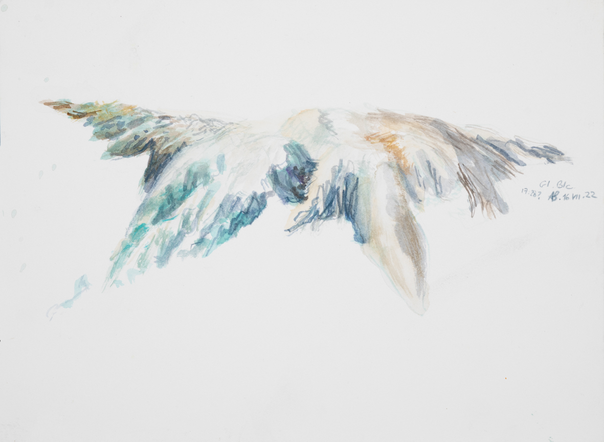 glaciers/25