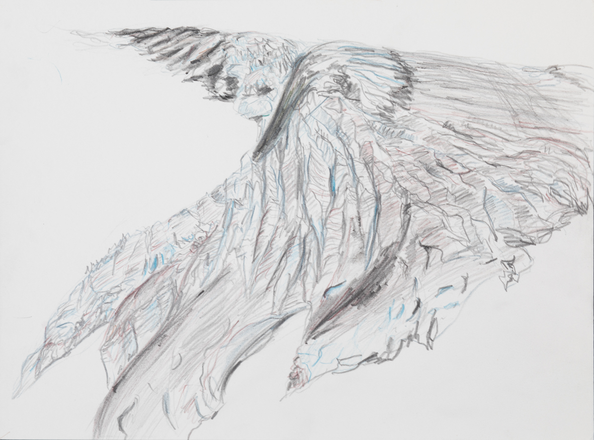 glaciers/29
