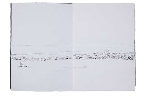 walking-along-the-coast/11
