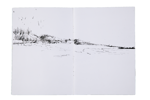 walking-along-the-coast/1