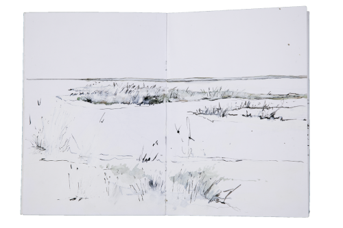 walking-along-the-coast/13