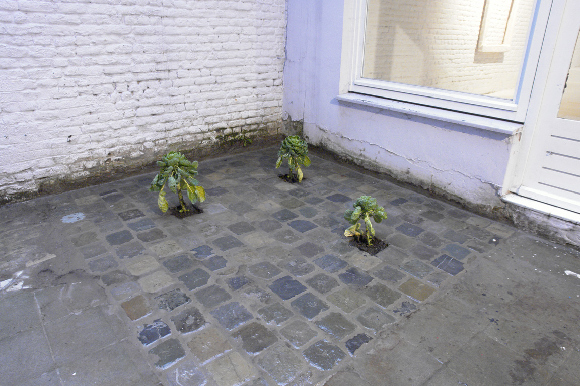 what-i-cannont-see-installations/6