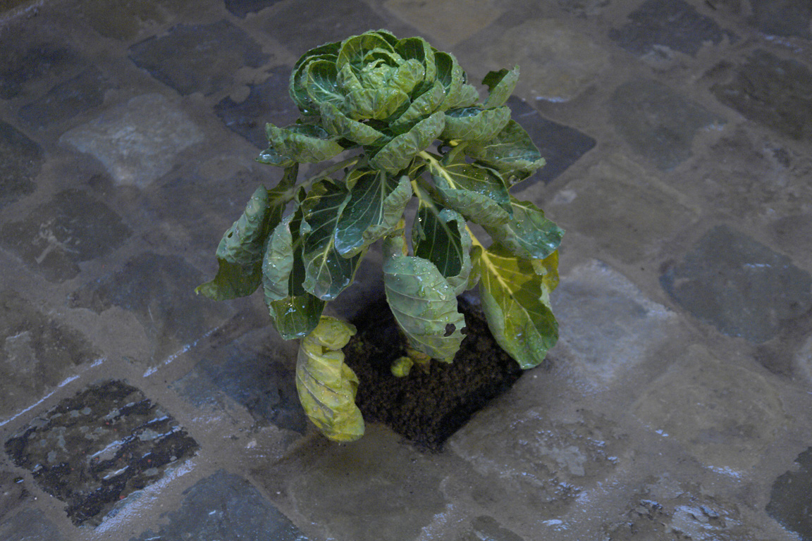 what-i-cannont-see-installations/5