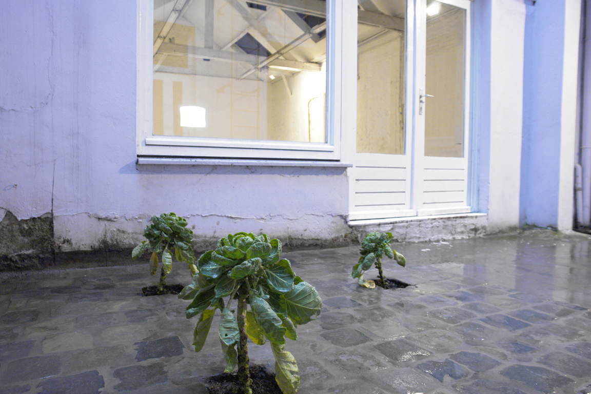 what-i-cannont-see-installations/4